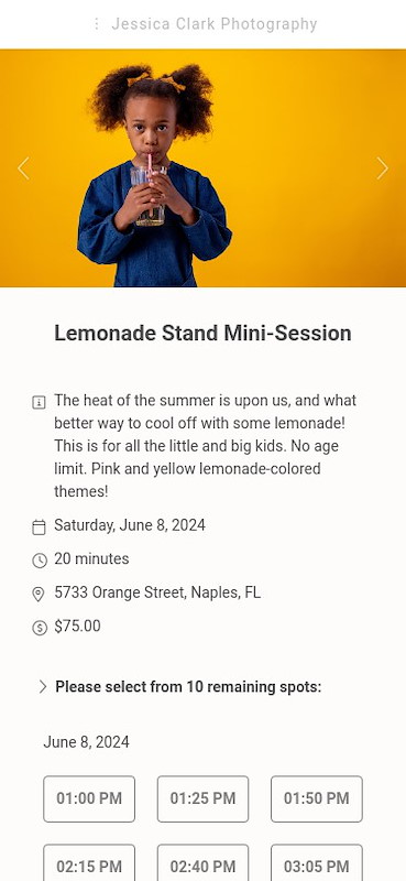 Lemonade stand mini session example